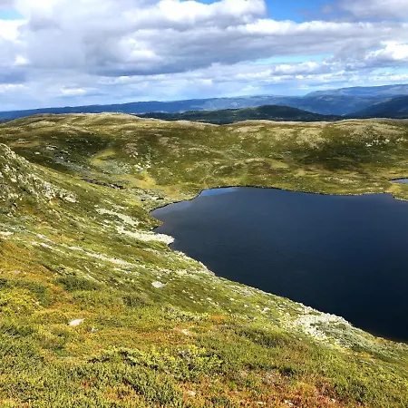 Hytte I Hallingdal/fla Flå
