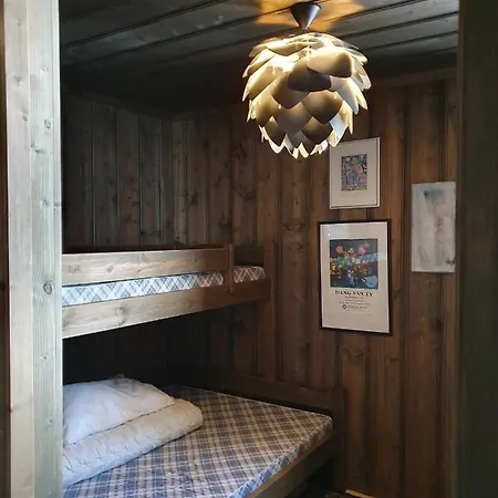 Hytte I Hallingdal/fla Flå