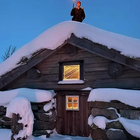 Hytte I Hallingdal/fla *