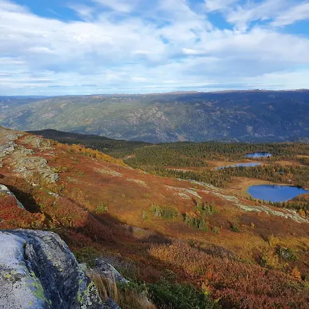 Hytte I Hallingdal/fla Ferienhaus Flå