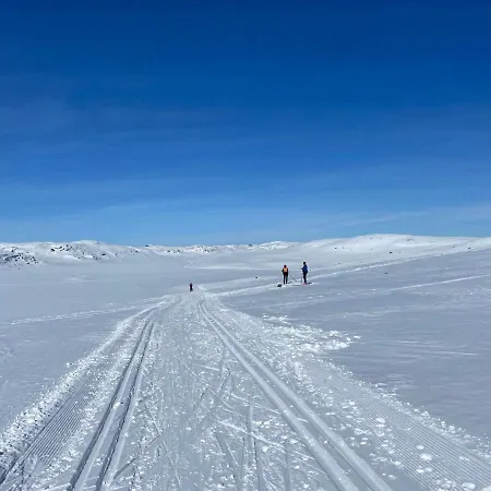 Hytte I Hallingdal/fla *