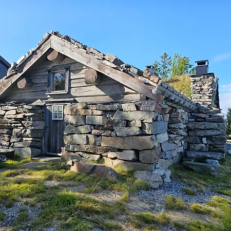 Hytte I Hallingdal/fla Flå