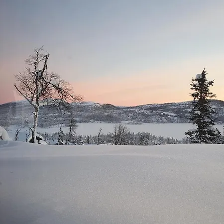 Hytte I Hallingdal/fla Holiday home