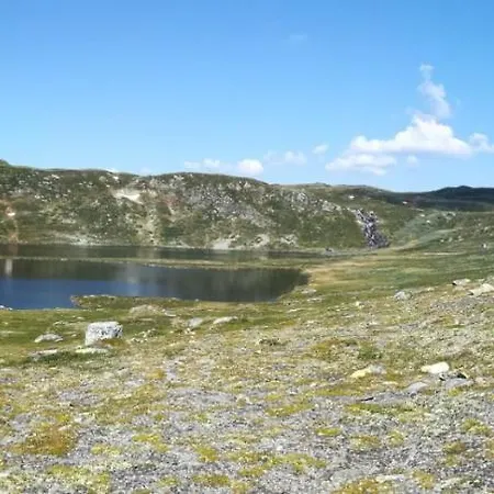 Hytte I Hallingdal/fla Fla