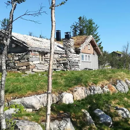 Hytte I Hallingdal/fla * Fla