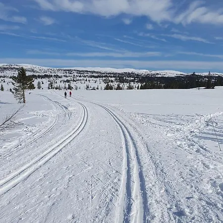Holiday home Hytte I Hallingdal/fla