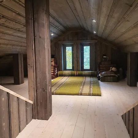 Hytte I Hallingdal/fla Holiday home *